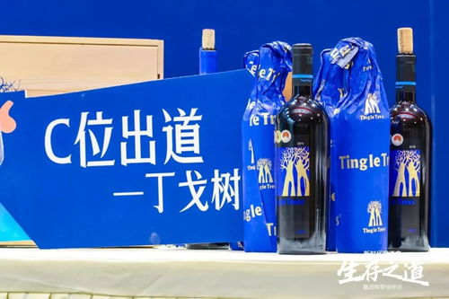 商源攜手酒仙 兩大酒業(yè)巨擘共創(chuàng)“億瓶干紅”新藍圖